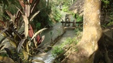 Fondazione Livia Benini - Immagini del viaggio in Laos.