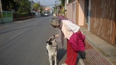 Fondazione Livia Benini - Incontriamo spesso cani e gatti liberi e tranquilli che si lasciano coccolare.